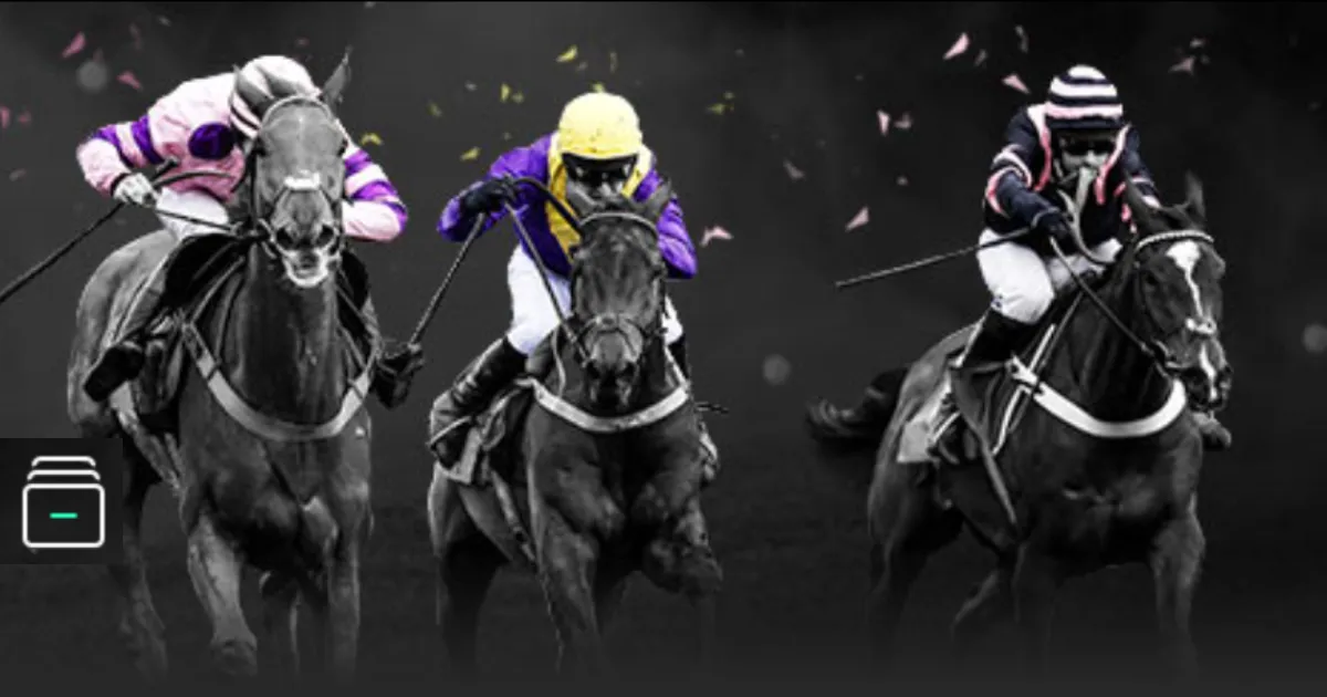 太阳遭篮网,分逆转三连,独行侠轻取,永利高101net,永利高101net官方网站,永利高101net平台