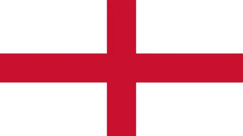 維特塞爾退役離開比利時國家隊