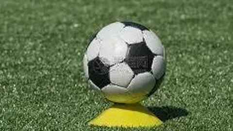 中国三位ATP网球选手排名集体下跌